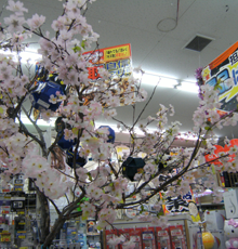 店内写真